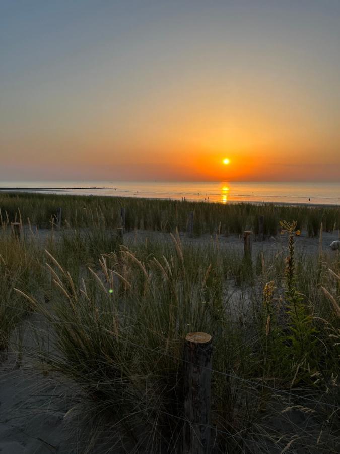 De Strandjutter 8 Persons * Middelkerke